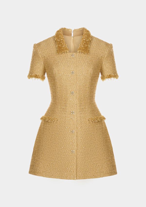 Gold Embellished Mini Dress